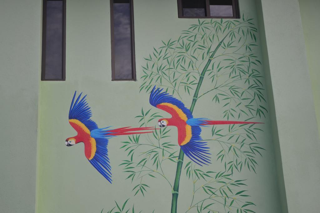 Mavi Surf Hotel Dominical Exterior photo